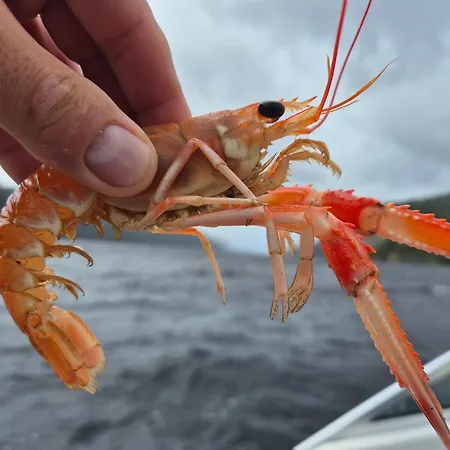 Stunning 3-bedroom At Waterfront *