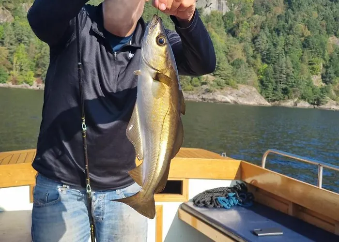 Stunning 3-bedroom At Waterfront